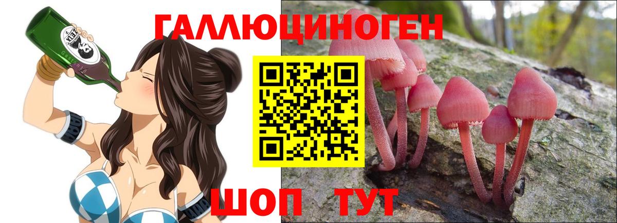 Псилоцибиновые грибы Psilocybe Менделеевск
