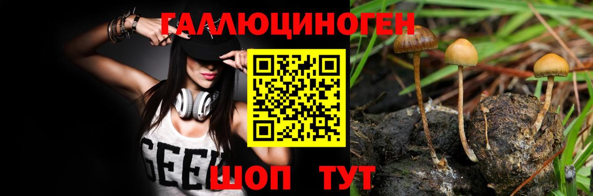 Псилоцибиновые грибы ЛСД  Вход с VPN  Менделеевск 